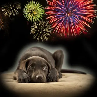 Andachtsbild von von Sarah und timmy