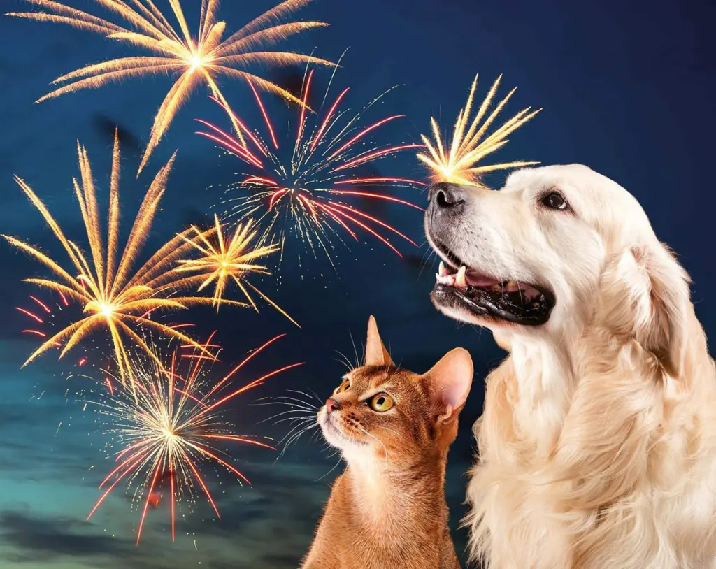 Andachtsbild von Unbekannt