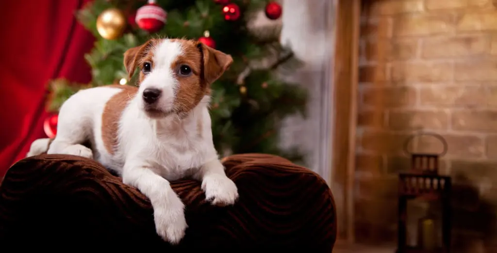 Andachtsbild von Marlene mit Markus und Danny tief im Herzen