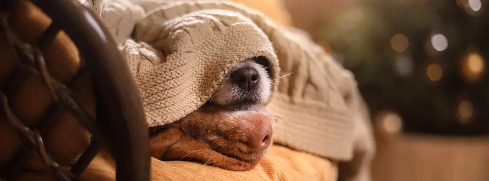 Andachtsbild von von Cora und Casper 