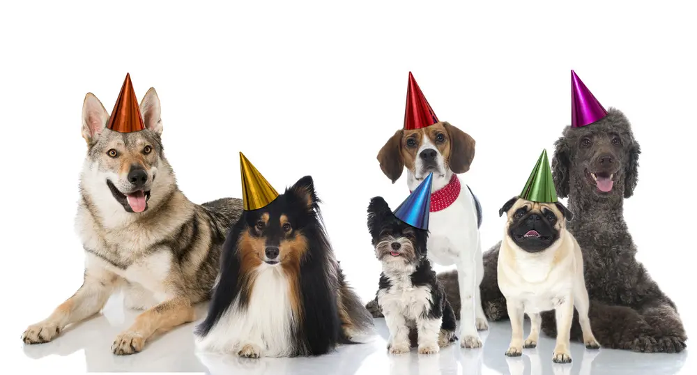 Andachtsbild von Unbekannt