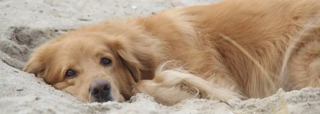 Andachtsbild von Rudi tief im Herzen