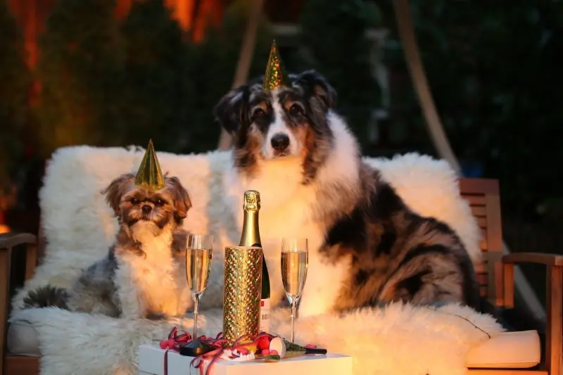 Andachtsbild von Happy New Year