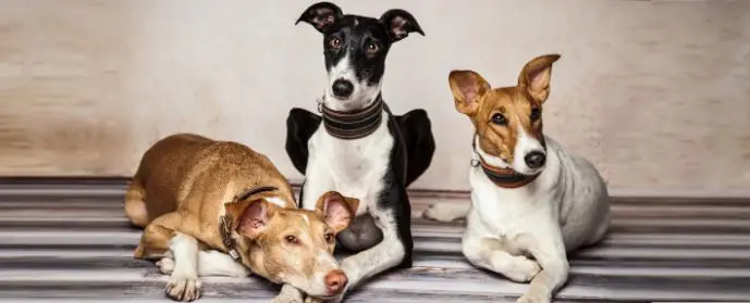 Andachtsbild von von Maja,Marlon,Mayla tief im Herzen 