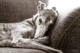 Andachtsbild von Philo