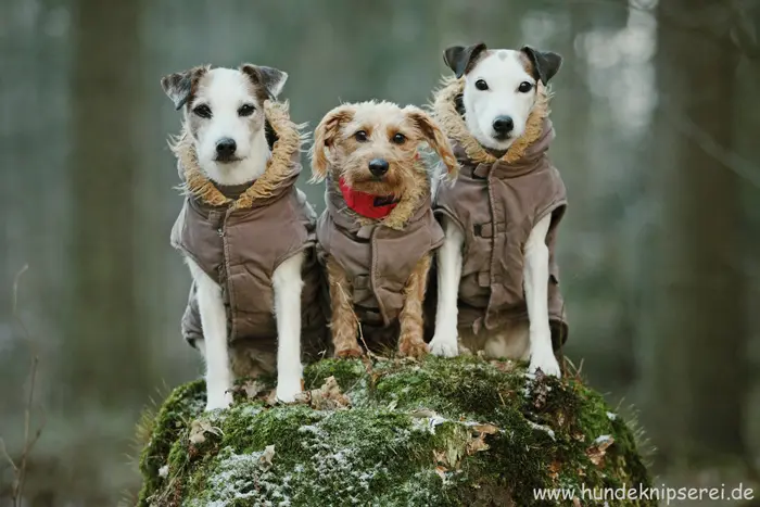 Andachtsbild von Unbekannt