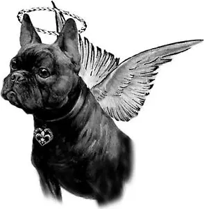 Andachtsbild von Cooper tief im Herzen