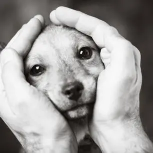 Andachtsbild von von Ben tief im Herzen