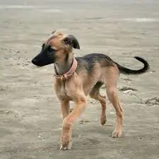 Andachtsbild von Friedolin tief im Herzen