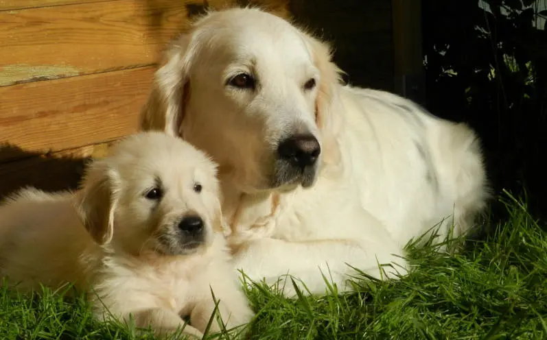 Andachtsbild von Von Lila tief im Herzen und Lena