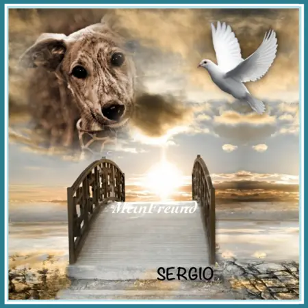 Andachtsbild von Eine Rose von Sergio