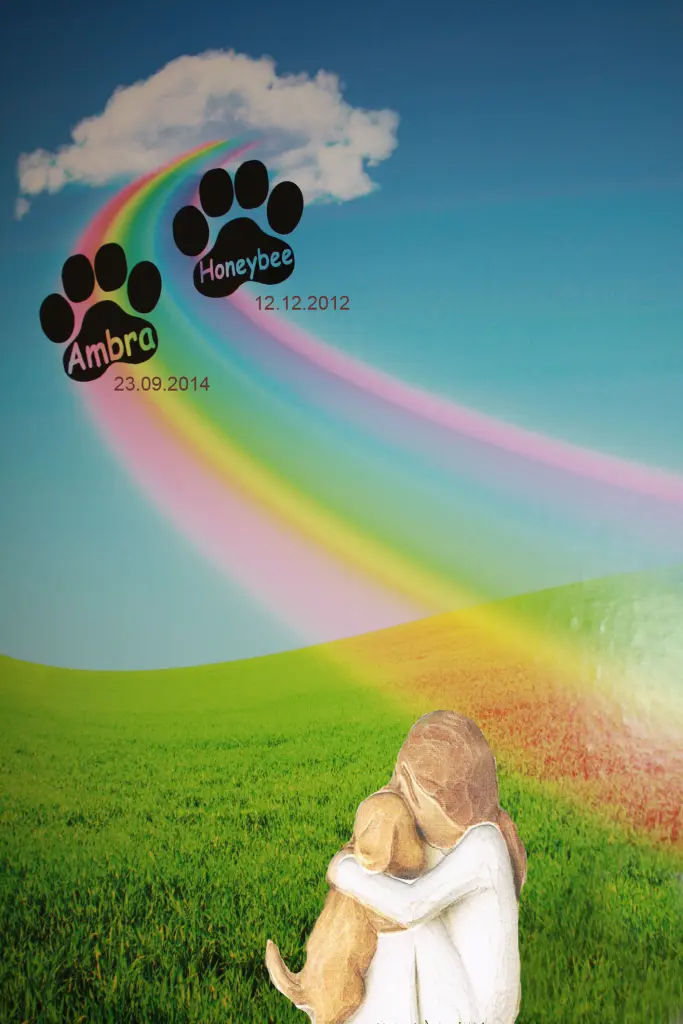 Andachtsbild von Eine Rose von unseren geliebten Hundis