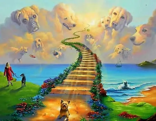 Andachtsbild von Eine Rose für Linus