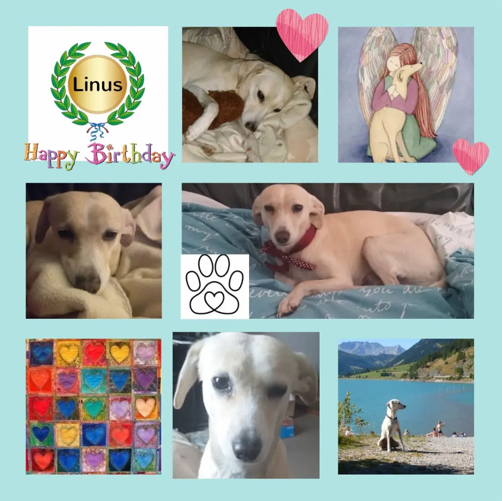 Andachtsbild von Geburtstagsrosen für Linus 