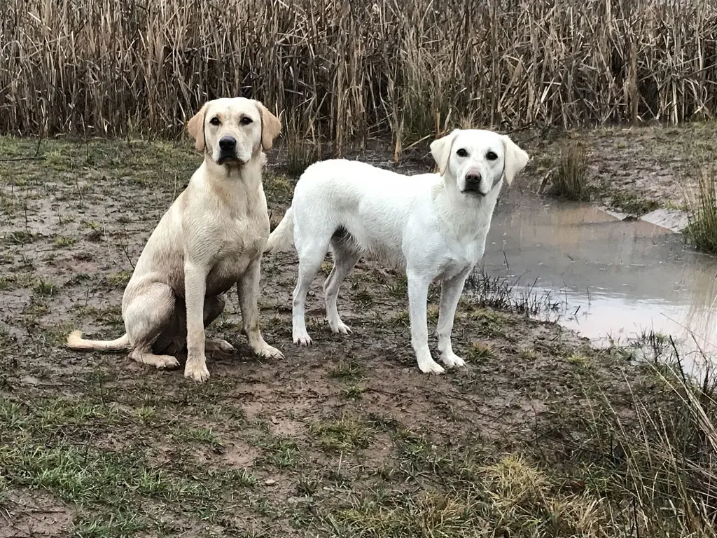 Andachtsbild von Tämmy und Talshia tief im Herzen