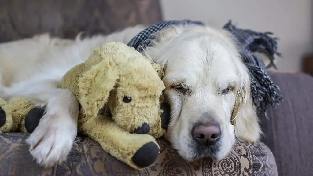 Andachtsbild von Shila tief im Herzen