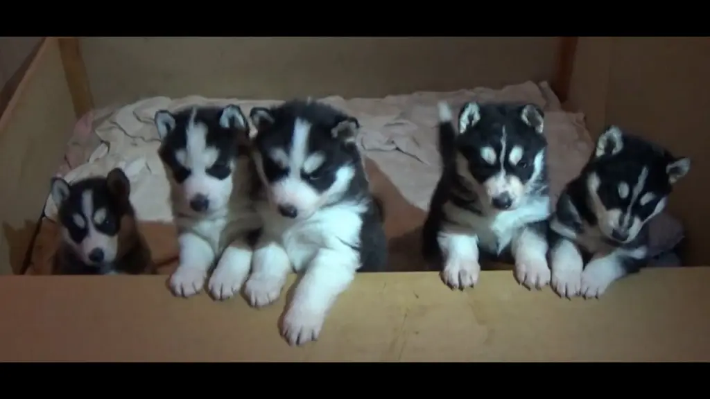 Andachtsbild von Unbekannt