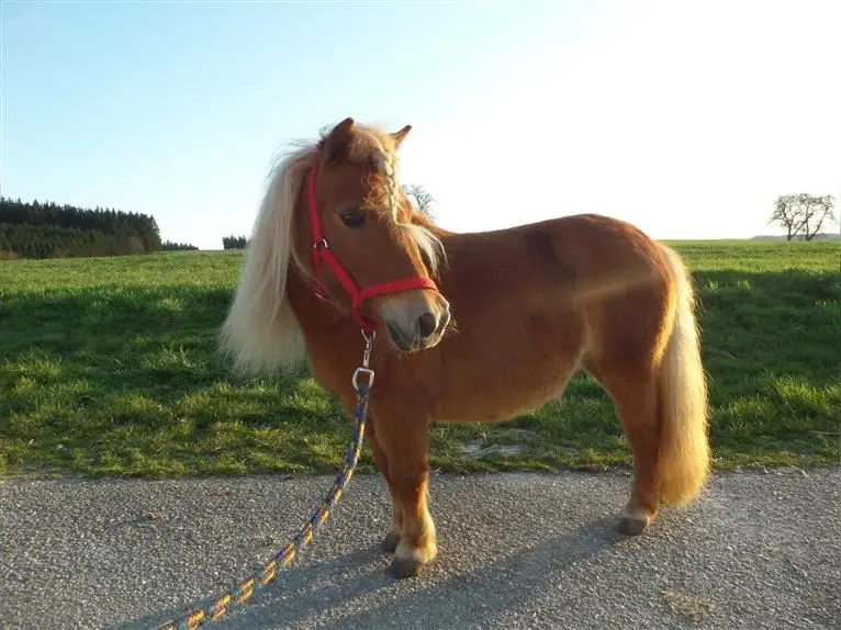 Andachtsbild von Von Lillo tief im Herzen 