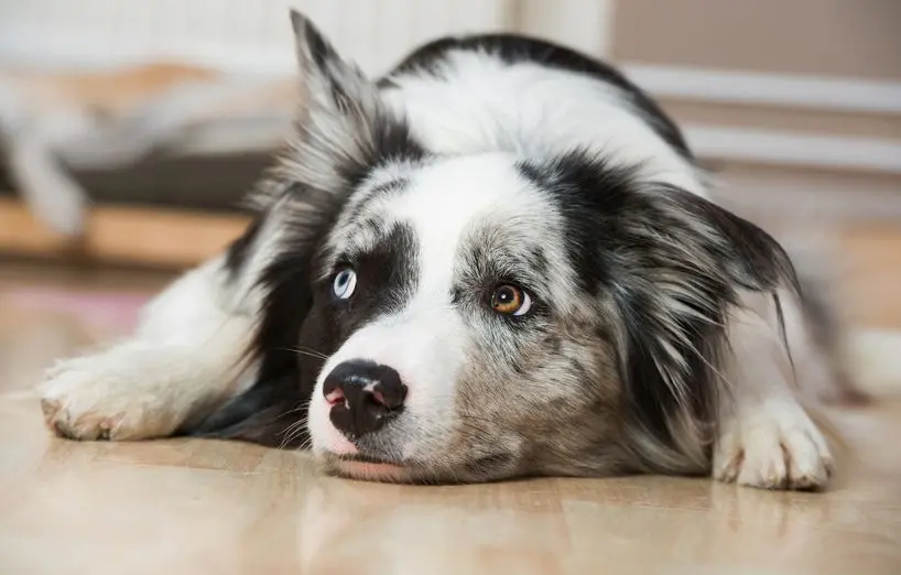 Andachtsbild von Elly tief im Herzen