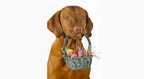 Andachtsbild von Unbekannt