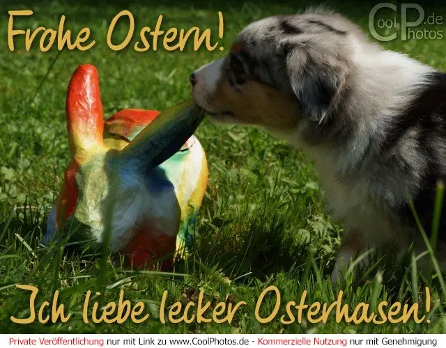 Andachtsbild von Unbekannt