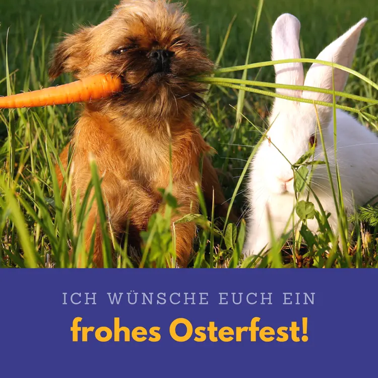 Andachtsbild von Unbekannt