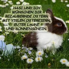 Andachtsbild von Unbekannt