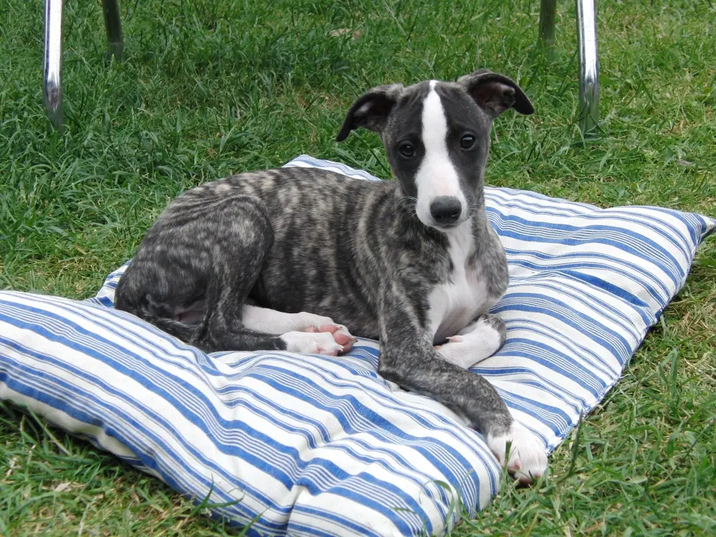 Andachtsbild von Ludwig tief im Herzen