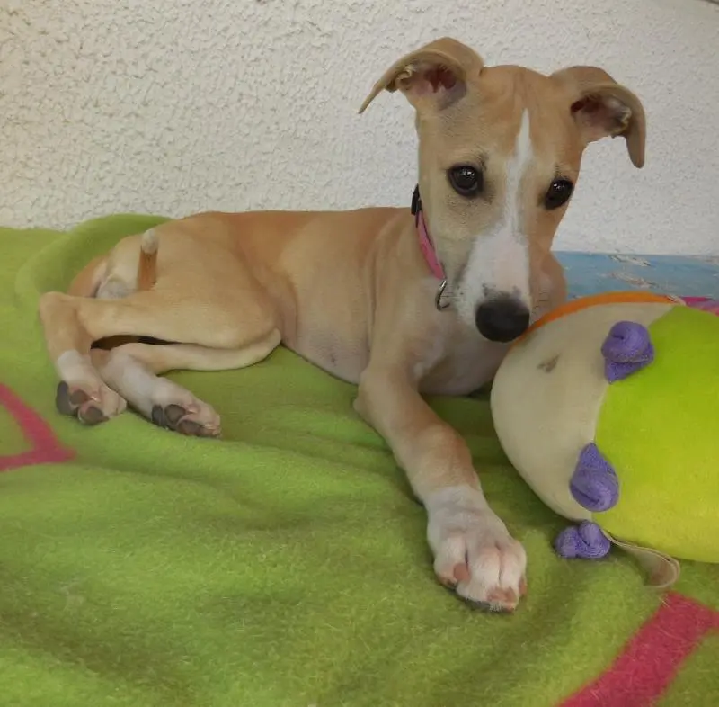 Andachtsbild von Lotta tief im Herzen