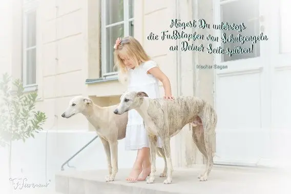 Andachtsbild von Rosen für den kleinen Linus