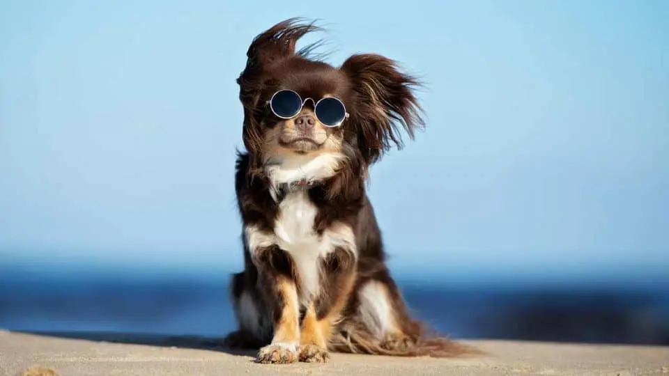 Andachtsbild von Sonninge Grüße an Linus 