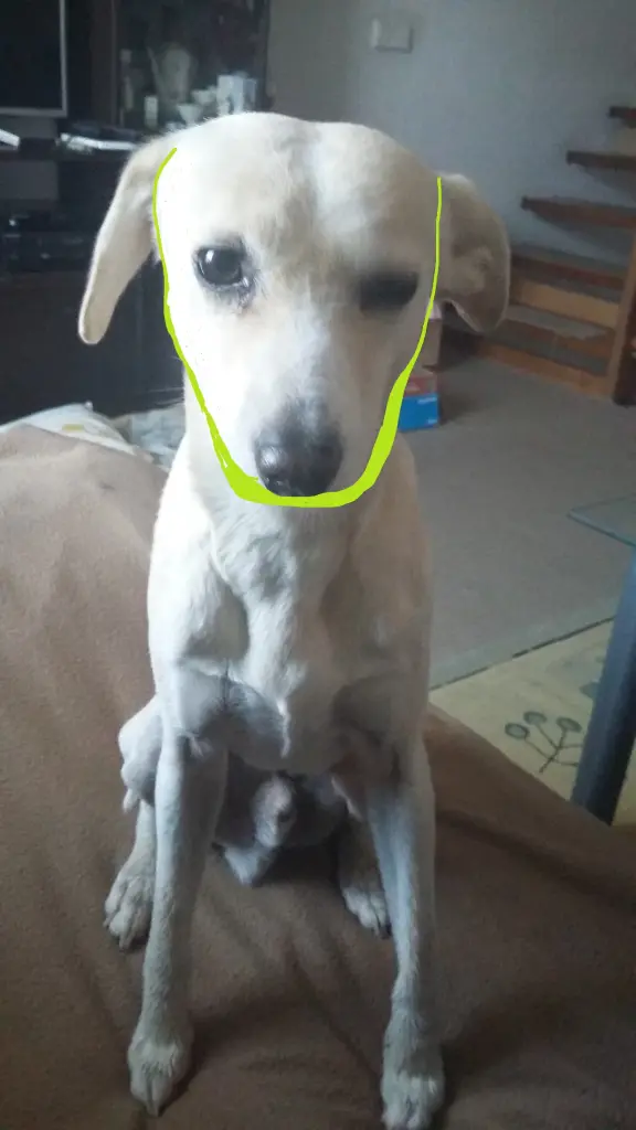 Andachtsbild von Unbekannt