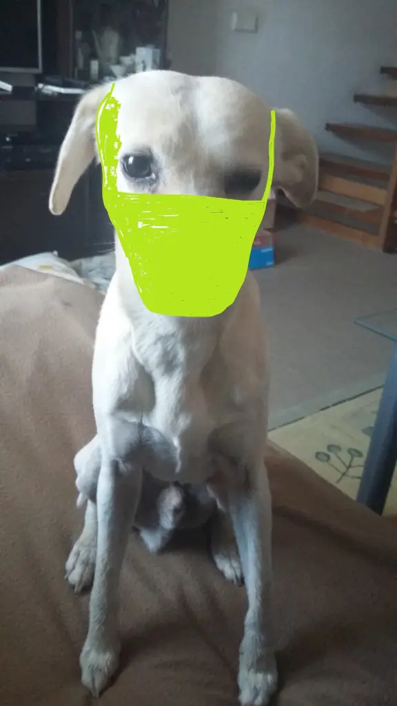 Andachtsbild von Unbekannt