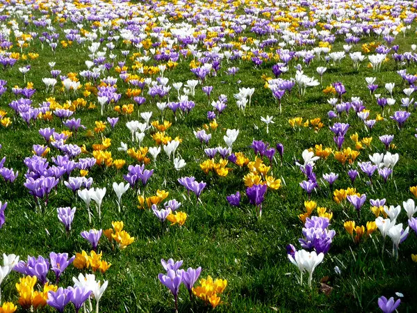 Andachtsbild von Unbekannt