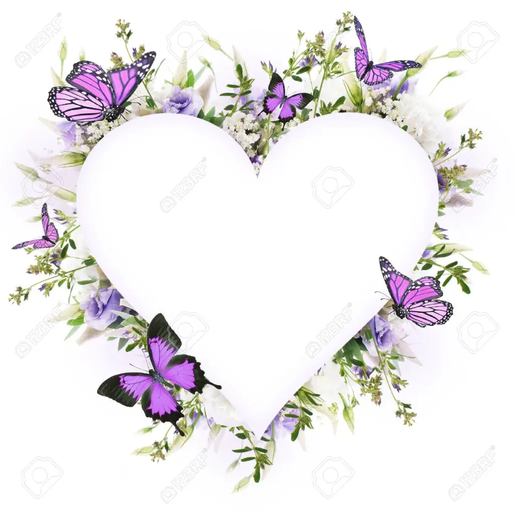 Andachtsbild von Rose tief im Herzen