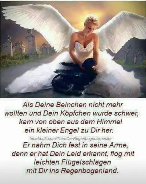 Andachtsbild von Bella tief im Herzen