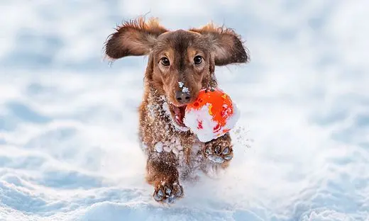 Andachtsbild von Rudi tief im Herzen