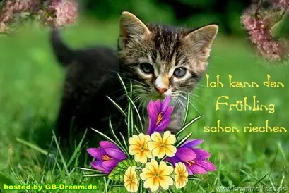 Andachtsbild von Frühlingsgrüße