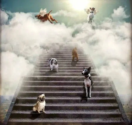 Andachtsbild von Unbekannt