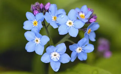 Andachtsbild von Unbekannt