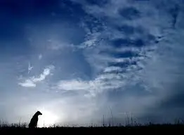 Andachtsbild von Unbekannt