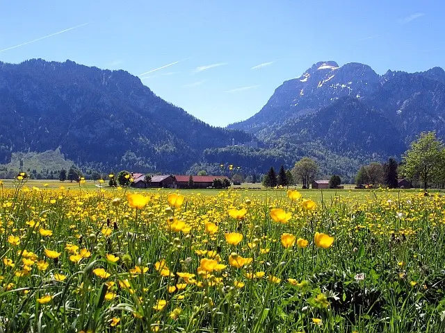 Andachtsbild von Unbekannt