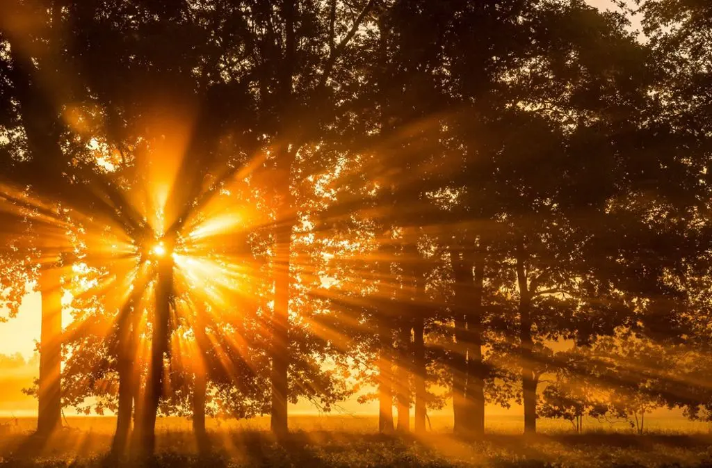 Andachtsbild von von deiner Freundin Luna 3Monate 