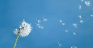 Andachtsbild von Unbekannt