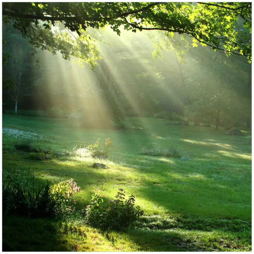 Andachtsbild von Songtext In meiner Erinnerung 