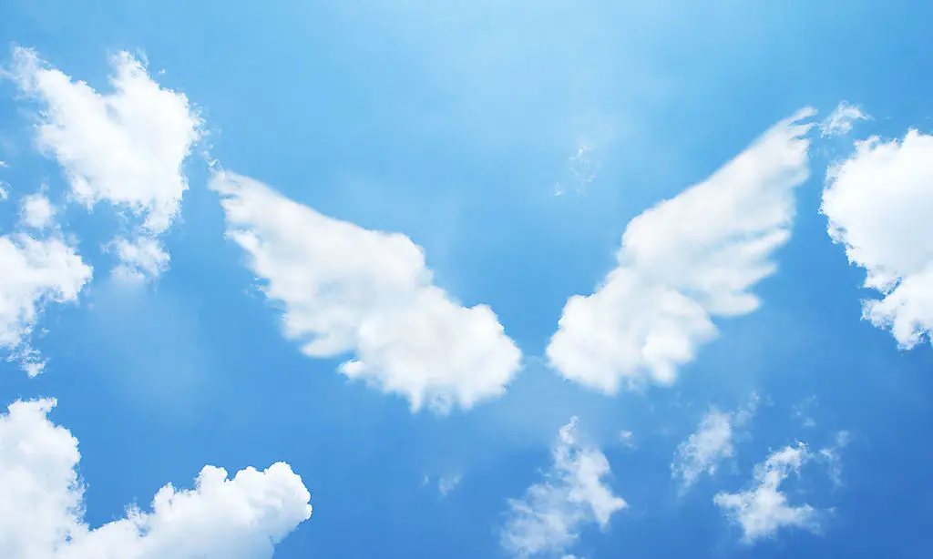 Andachtsbild von Unbekannt