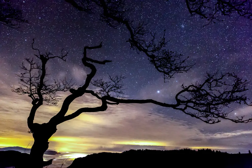 Andachtsbild von Sarah tief im Herzen