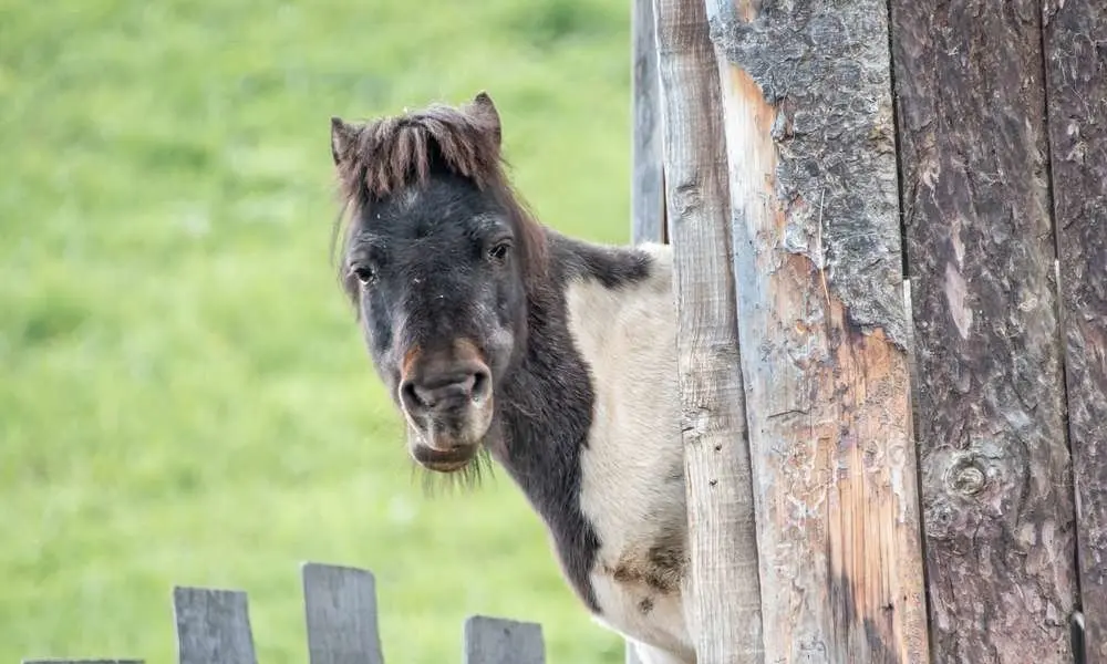 Andachtsbild von Sofia tief im Herzen 