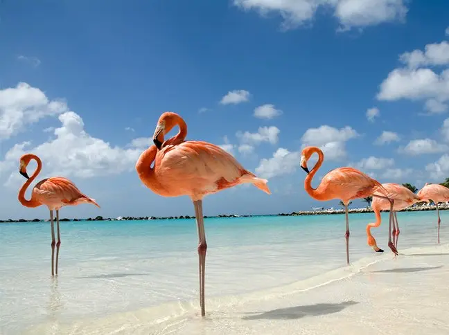 Andachtsbild von liebe Grüße aus Australien