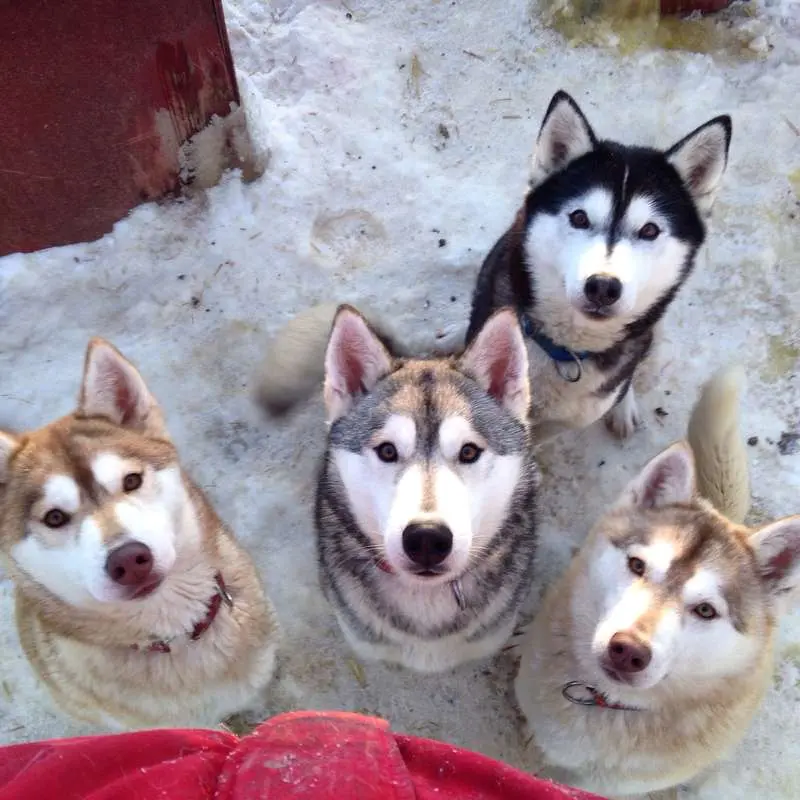 Andachtsbild von Nele.Nala. Nia. Noemi.